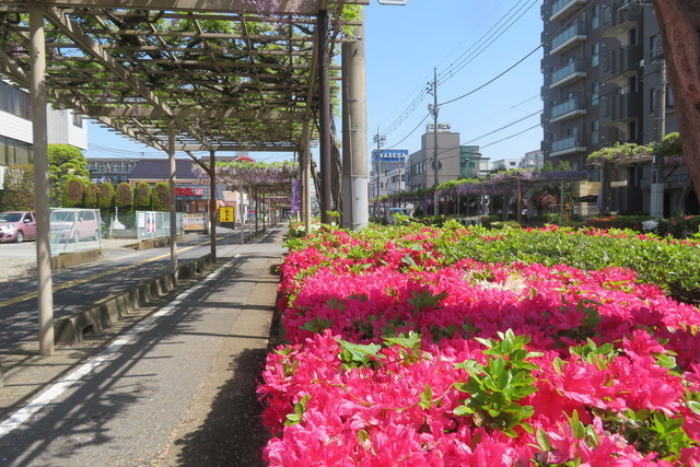 ●⑧IMG_0918.JPG