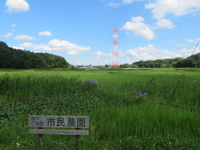 ■④IMG_5105.JPG
