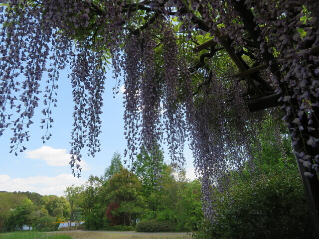 ●③IMG_0035.JPG