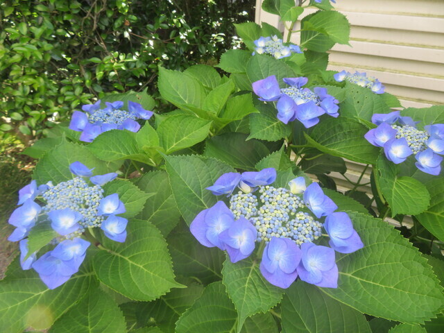 ●⑤IMG_5128.JPG